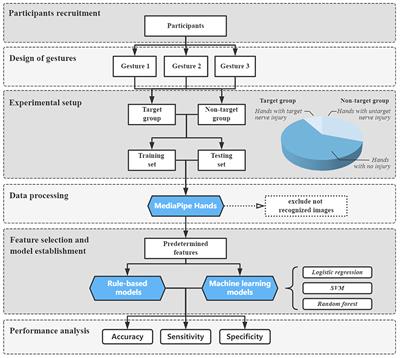 Automatic detection of abnormal hand gestures in patients with radial, ulnar, or median nerve injury using hand pose estimation